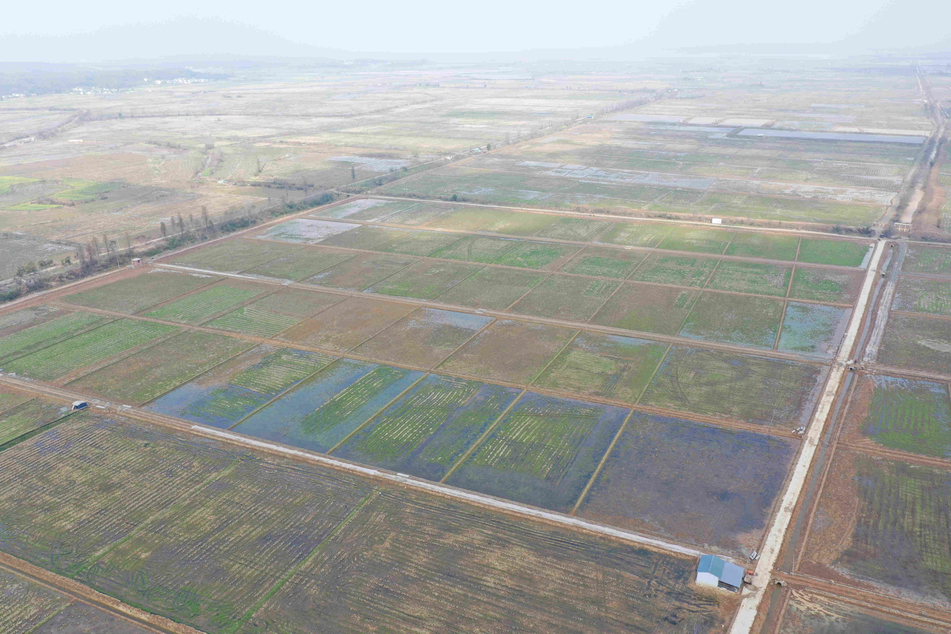 新建区2021年高标农田项目（铁河新丰农村）
